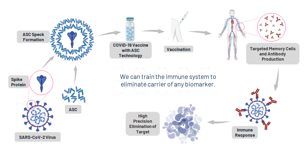 how does asc technology work